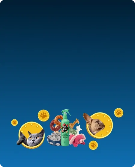 Gagnez des Points,