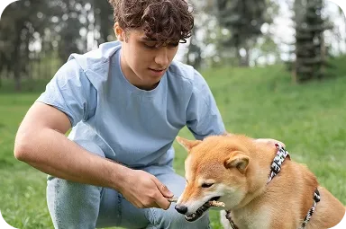 Man playing with dog